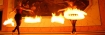 Feuergrazilien